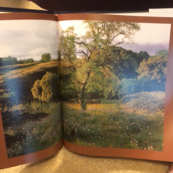 WILD & SCENIC CALIFORNIA THE NATURAL LANDSCAPE • PHOTOGRAPHY BY CARR CLIFTON - Picture 15 of 17